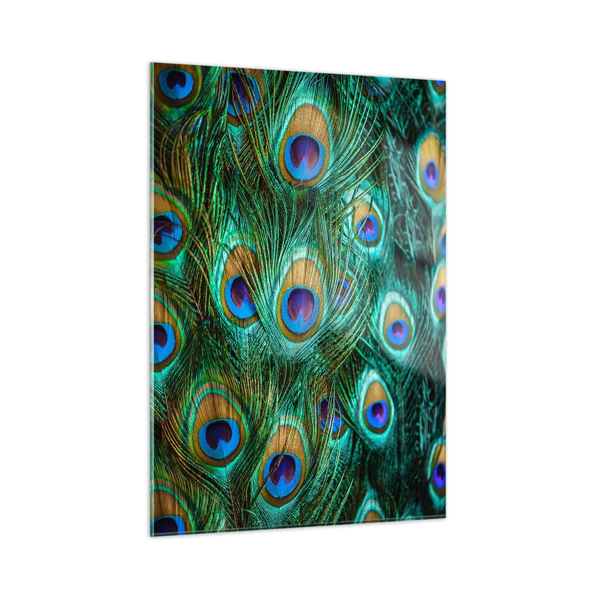 Schilderen op glas - Een pauwenooglook - 50x70 cm