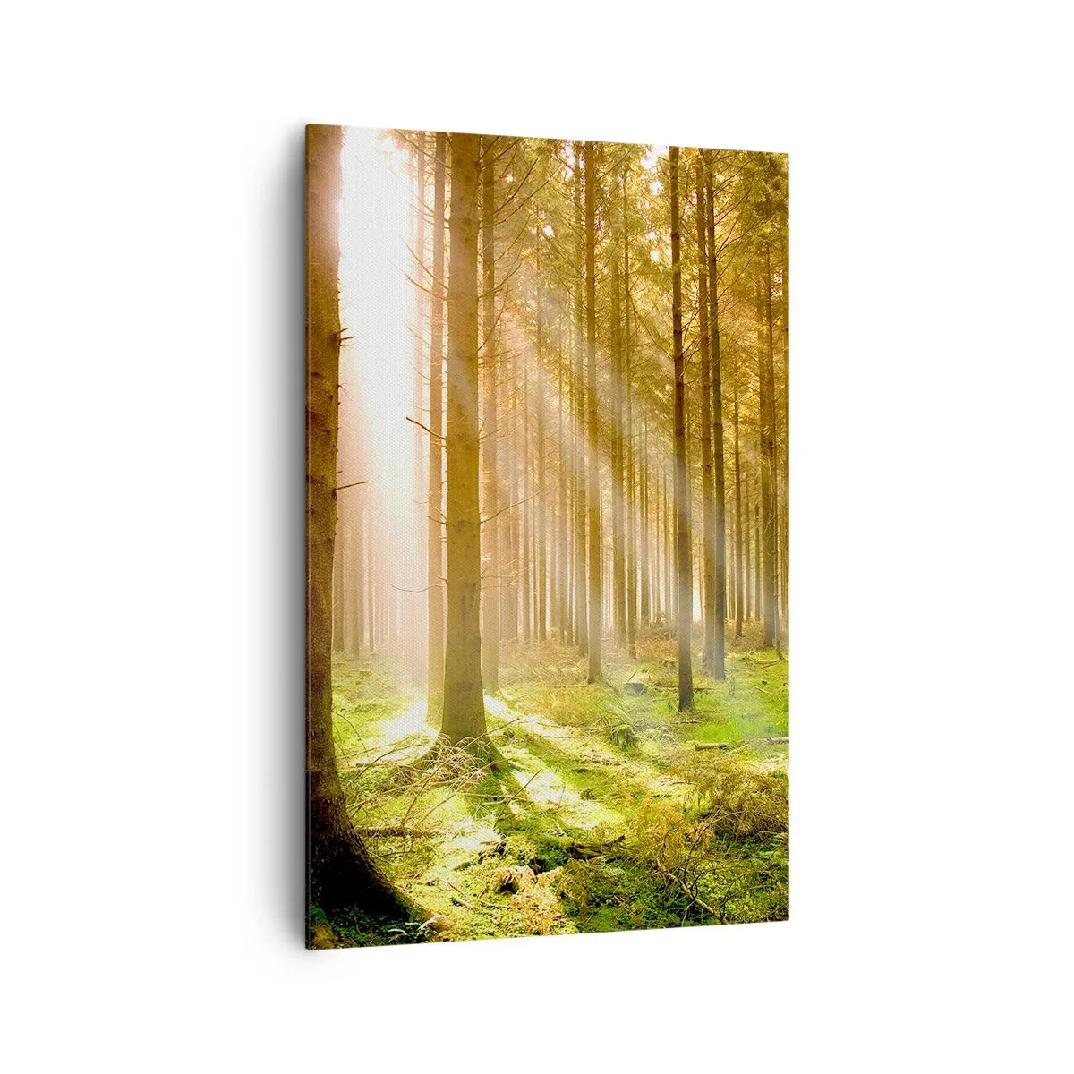 Schilderen op canvas - De elfjes zullen spoedig verschijnen - 80x120 cm