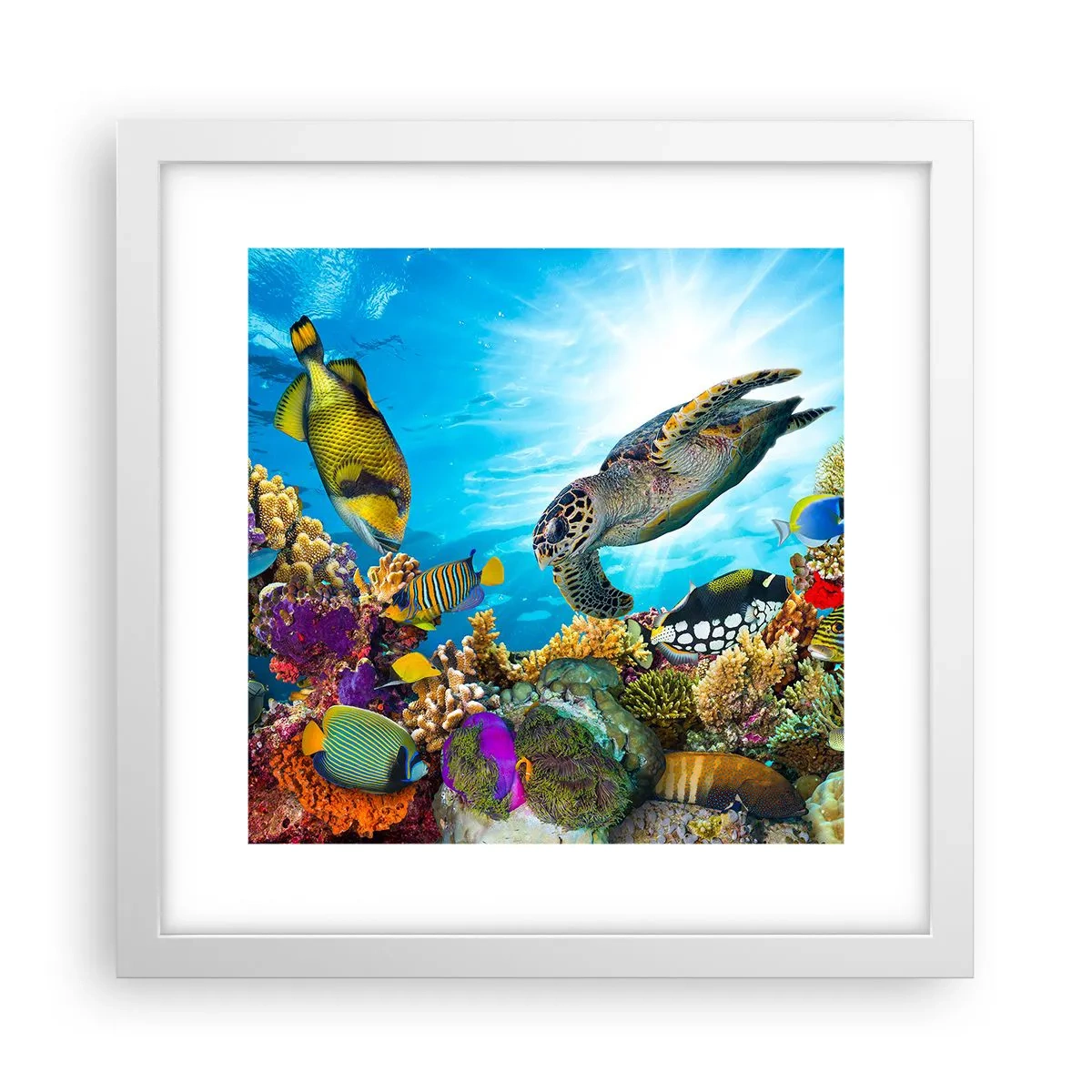 Poster in een witte lijst - Koraalpromenade - 30x30 cm