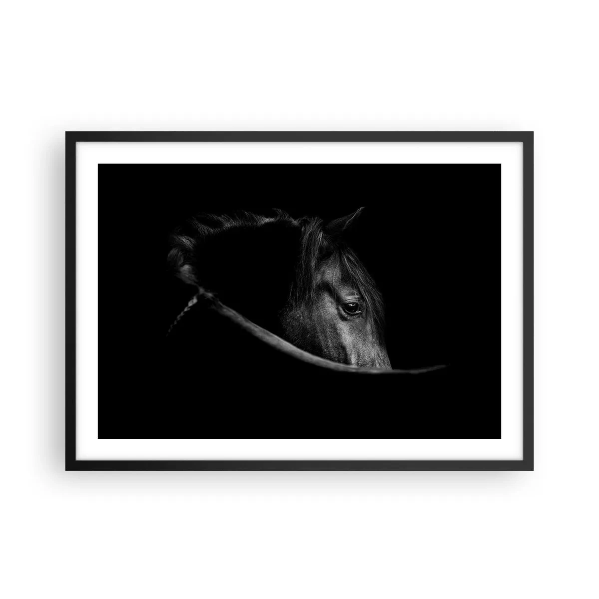 Poster in een zwarte lijst - Zwarte Prins - 70x50 cm