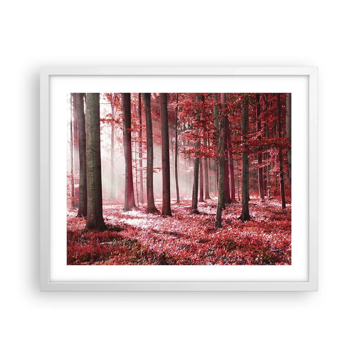 Poster in een witte lijst - Rood is net zo mooi - 50x40 cm