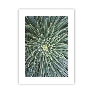 Poster - Een ster is geboren - 30x40 cm