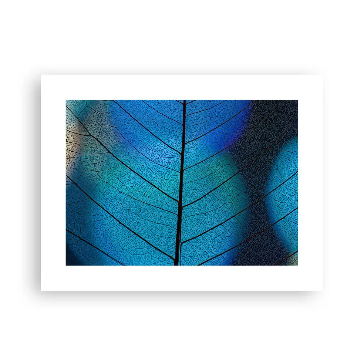 Poster - Ingewikkelde constructie - 40x30 cm