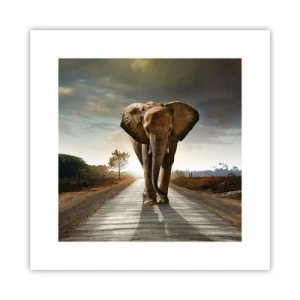 Poster - En helemaal niet in een porseleinen pakhuis - 30x30 cm