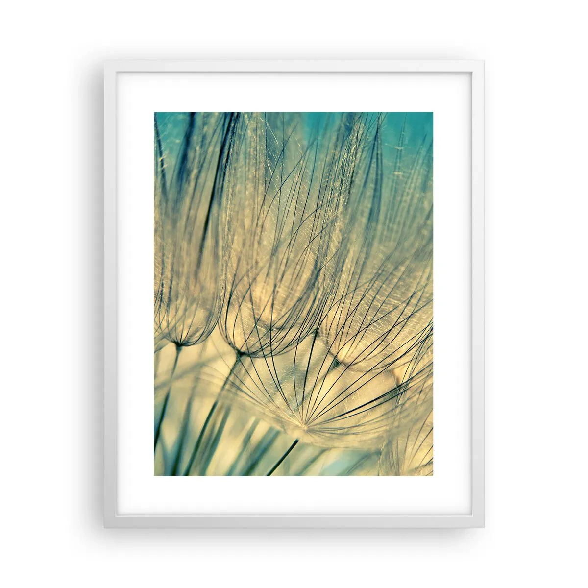 Poster in een witte lijst - In afwachting van de wind - 40x50 cm