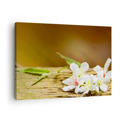 Schilderen op canvas - Witte bloemen op een houten achtergrond in natuurlijk licht - 70x50cm - Een onschuldige belofte - Moderne wanddecoratie voor woonkamer en slaapkamer ARTTOR