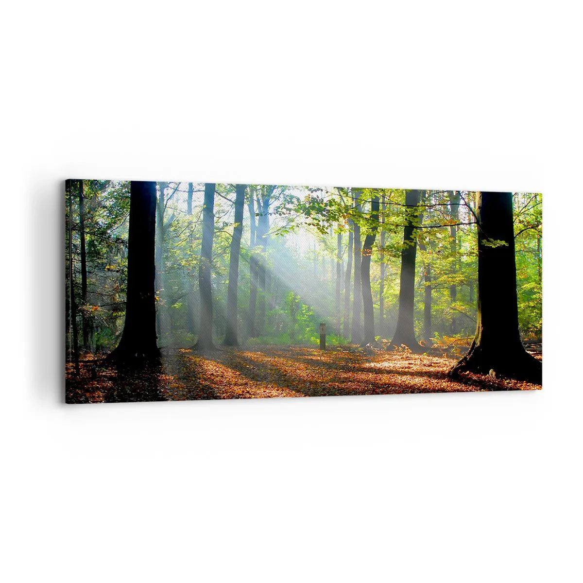 Schilderen op canvas - Lichten en schaduwen - 120x50 cm