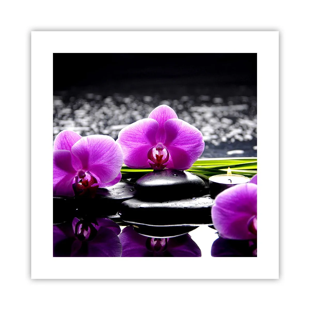 Poster - Verdrinken in rust en stilte - 40x40 cm