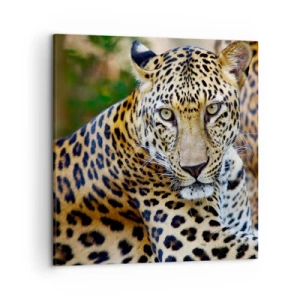 Schilderen op canvas - Wild en kalm - 50x50 cm