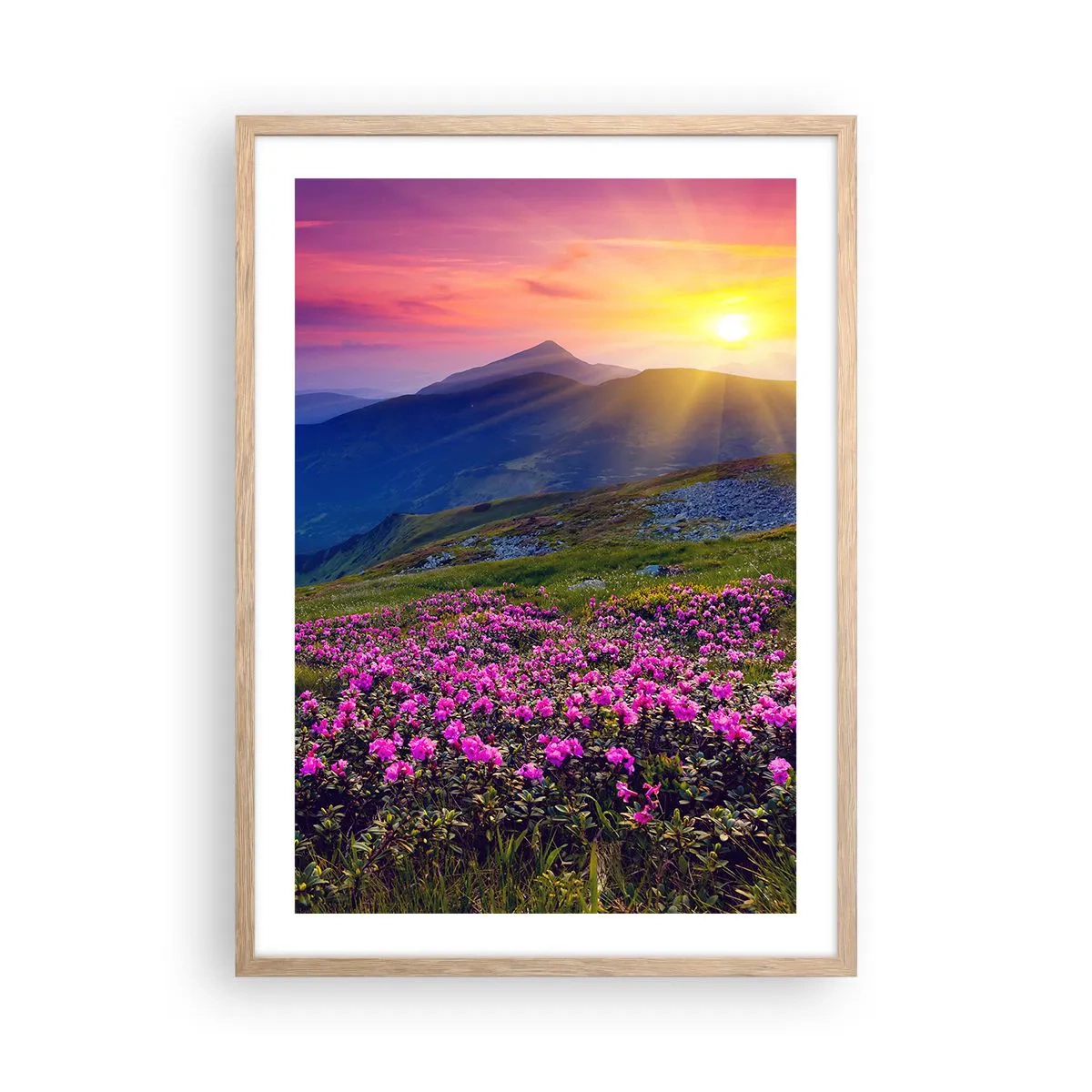 Een poster in een licht eiken lijst - … En eromheen ruikt het naar bergdennen en de geur van kruiden - 50x70 cm