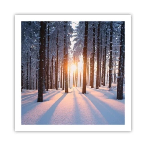 Poster - Duidelijk in zwart-wit - 60x60 cm