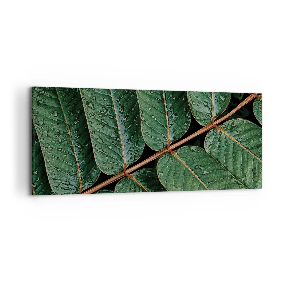 Schilderen op canvas - In een groen ritme - 100x40 cm