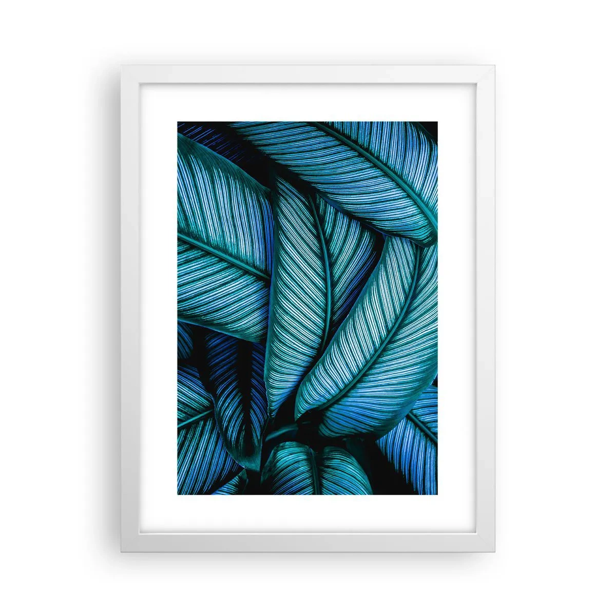 Poster in een witte lijst - Levens lijnen - 30x40 cm