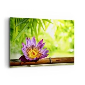 Schilderen op canvas - In de Aziatische zon - 120x80 cm