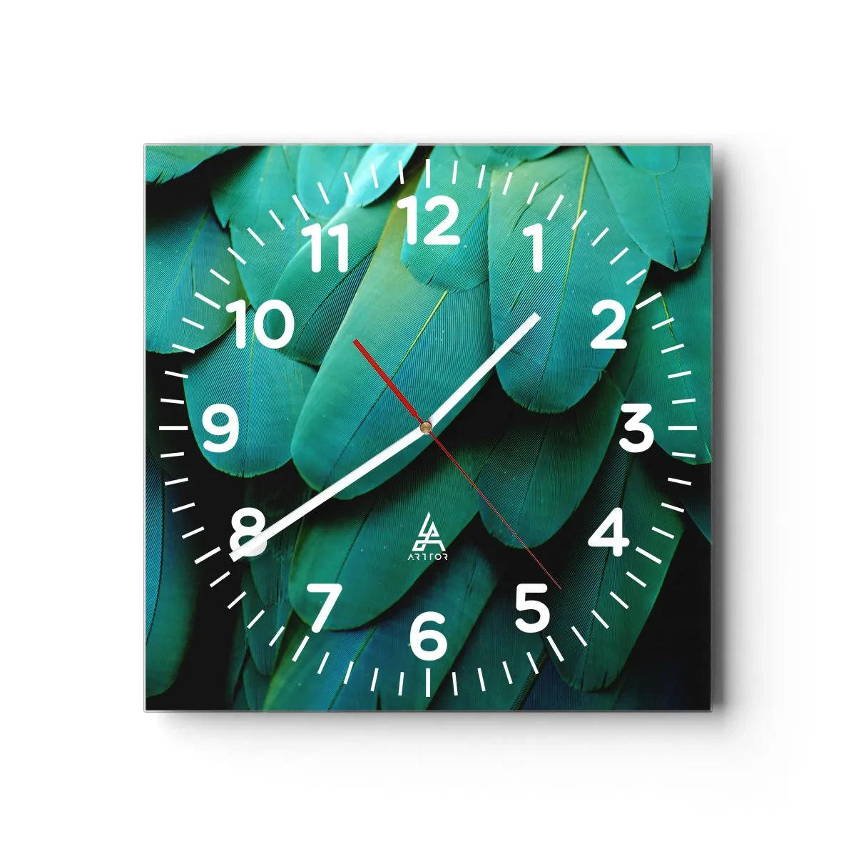 Wandklok - Klok - Papegaaiachtige precisie - 40x40 cm