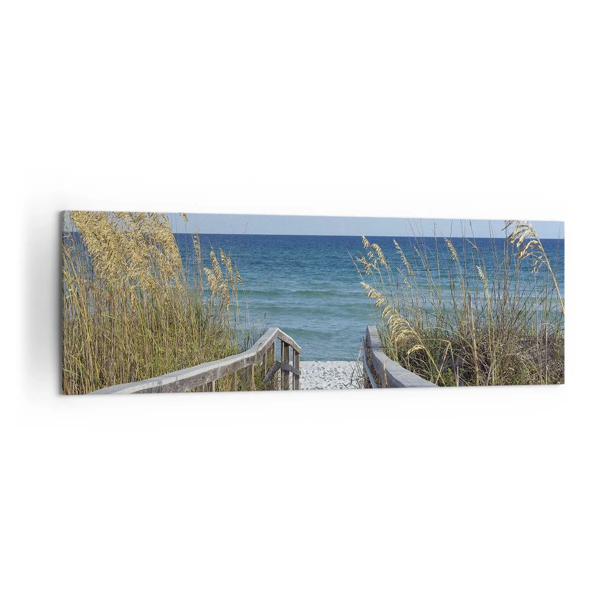 Schilderen op canvas - In de zon, in de wind - 160x50 cm