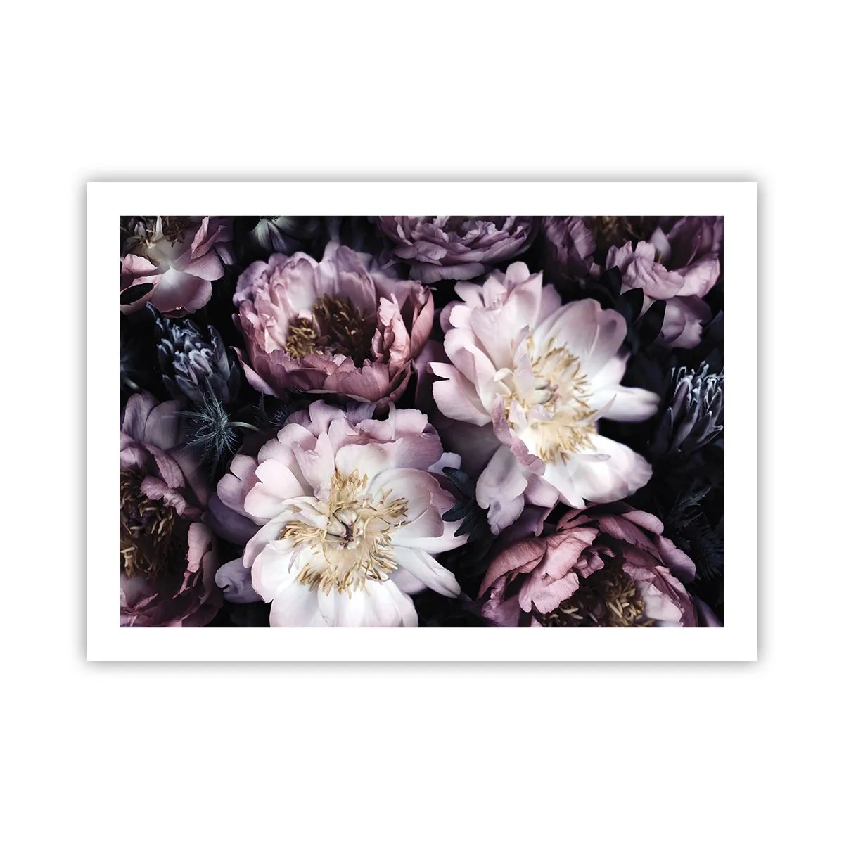 Poster - Boeket ouderwets - 70x50 cm