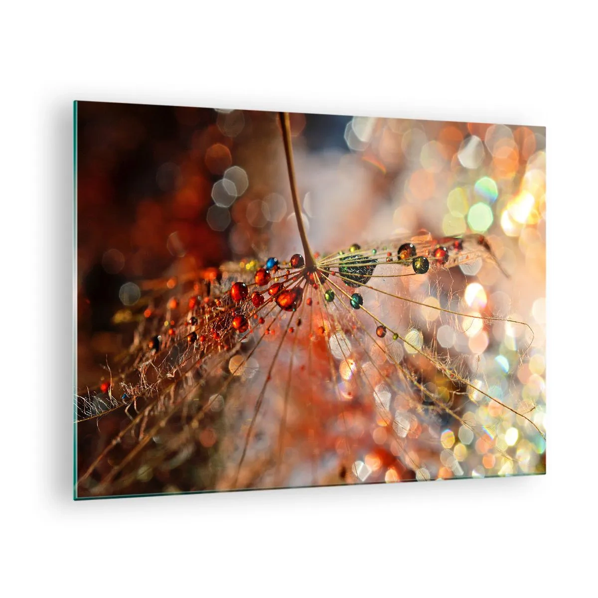 Schilderen op glas - Waterdruppels op een delicaat spinnenweb in bokehlicht - 70x50cm - Geregen op een spinnendraad - Moderne wanddecoratie voor woonkamer en slaapkamer ARTTOR