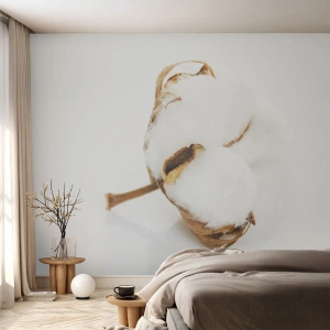 Fotobehang Premium Canvas - Zacht van aard - Katoen, Minimalistisch, Bloem - 250x175 cm