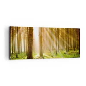 Schilderen op canvas - De elfjes zullen spoedig verschijnen - 100x40 cm