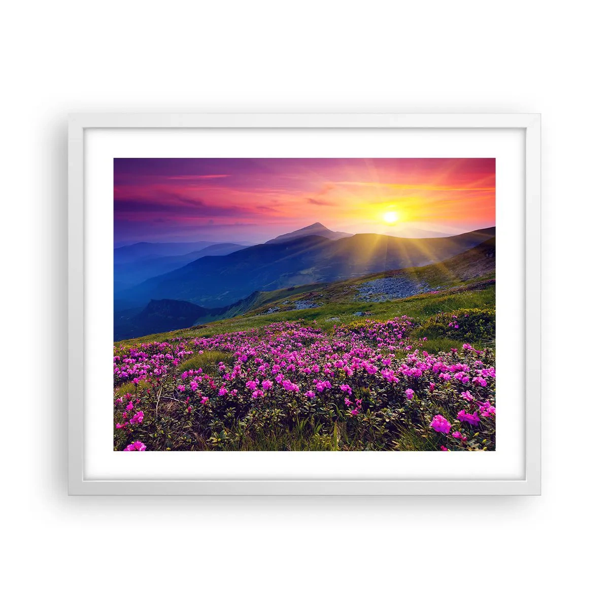 Poster in een witte lijst - … En eromheen ruikt het naar bergdennen en de geur van kruiden - 50x40 cm