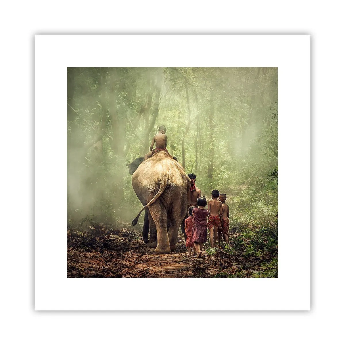 Poster - Nieuw Jungle Boek - 30x30 cm