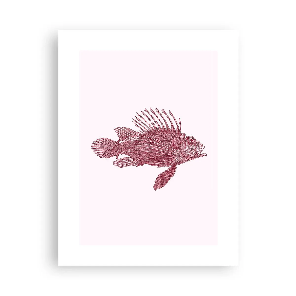 Poster - Inwoner van exotische wateren - 30x40 cm