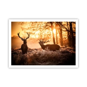 Poster - De droom van een jager - 100x70 cm