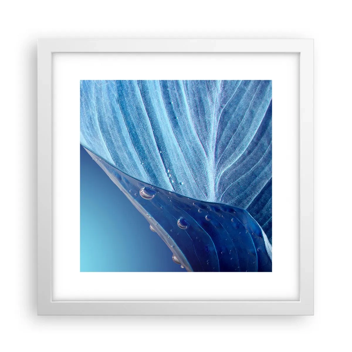 Poster in een witte lijst - Verborgen druppels blauw - 30x30 cm