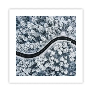 Poster - Door het winterbos - 40x40 cm