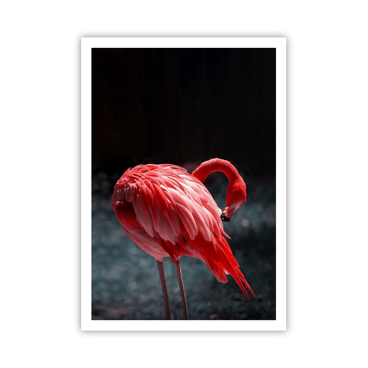 Poster - Een karmozijnrood gedicht van de natuur - 70x100 cm