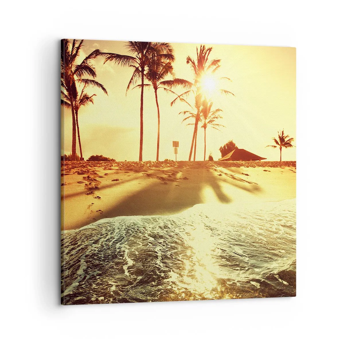 Schilderen op canvas - Californië middag - 50x50 cm