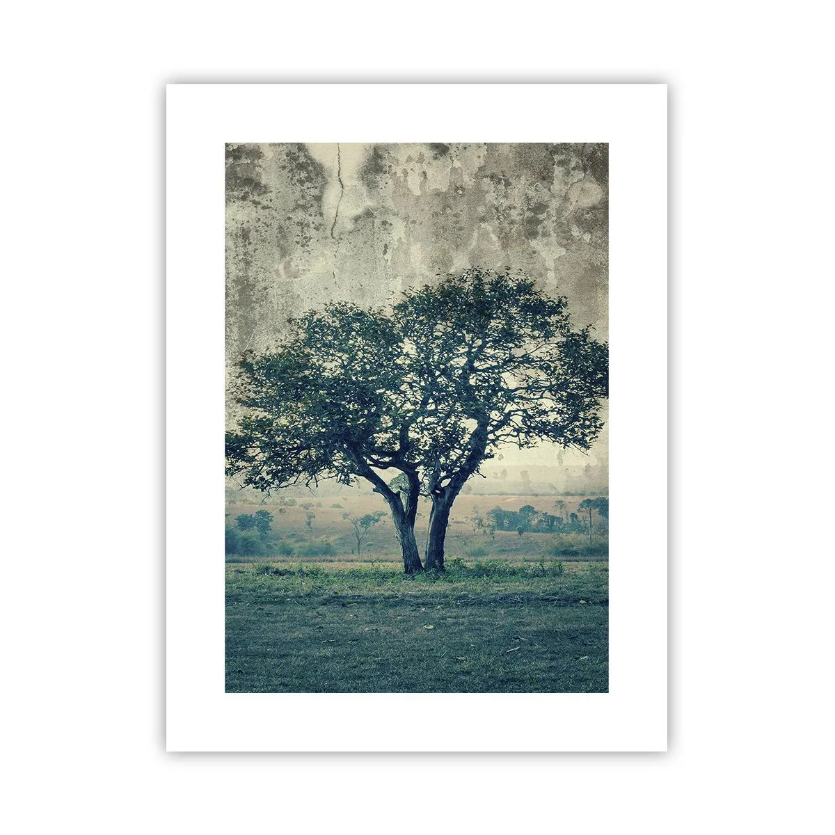 Poster - Een appelboom op een blauw veld? - 30x40 cm