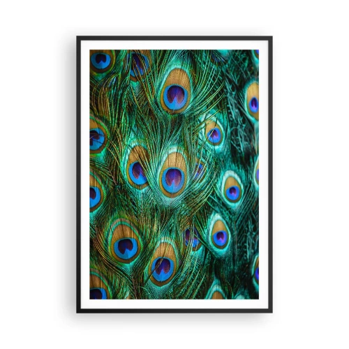 Poster in een zwarte lijst - Een pauwenooglook - 70x100 cm