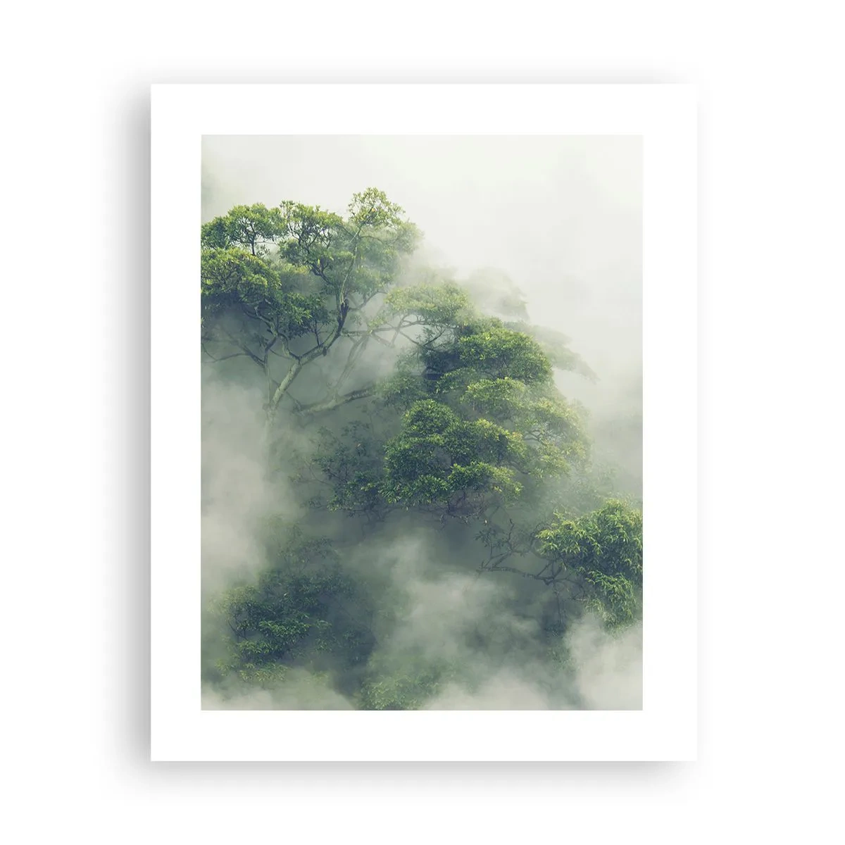 Poster - In mist gehuld - 40x50 cm