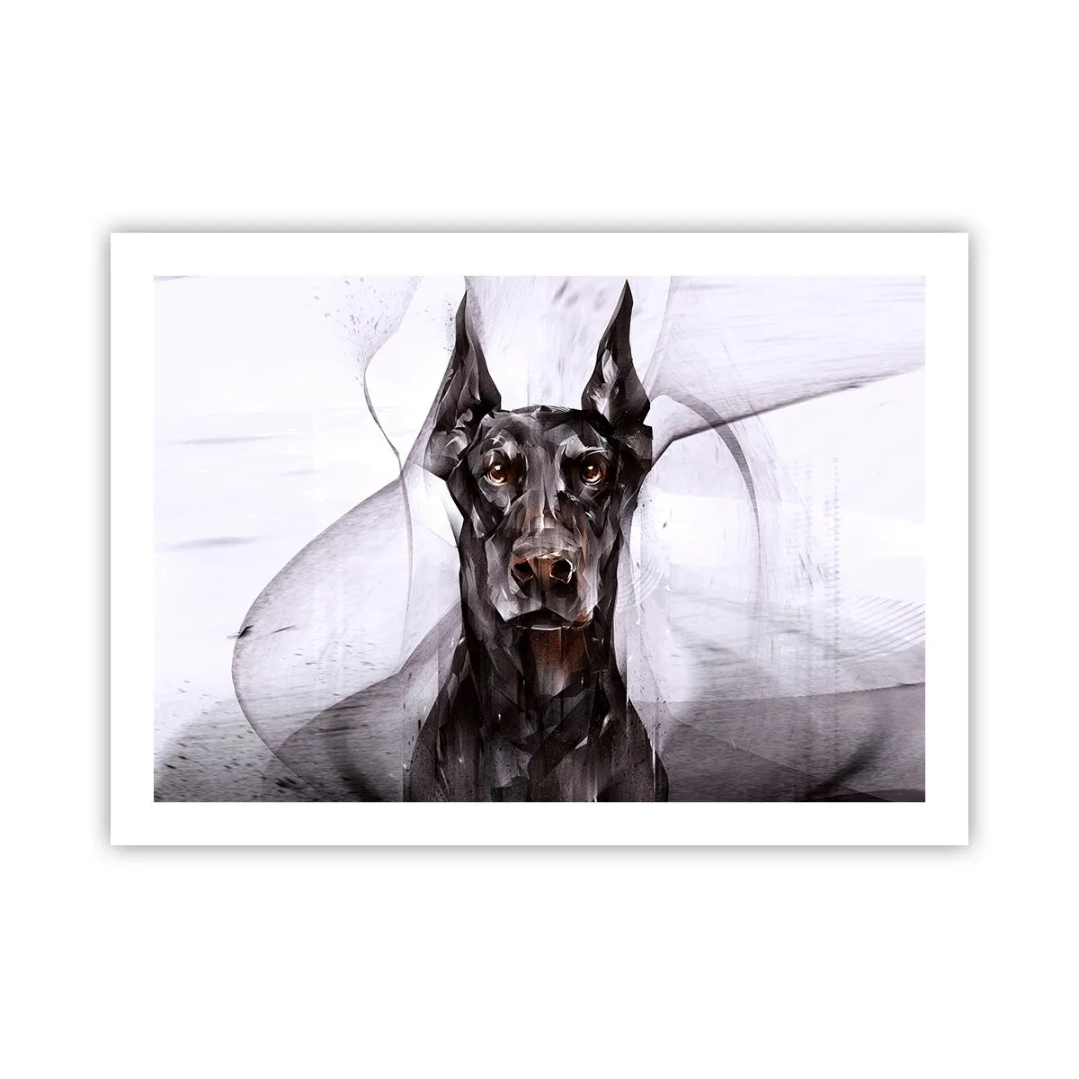 Poster - Hooggeboren - 70x50 cm