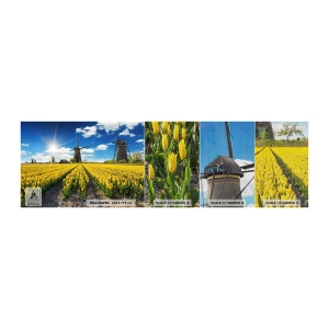 Fotobehang Monster Premium Canvas - Hollandser kan het niet - Landschap, Fan, Tulpen - 100x30 cm