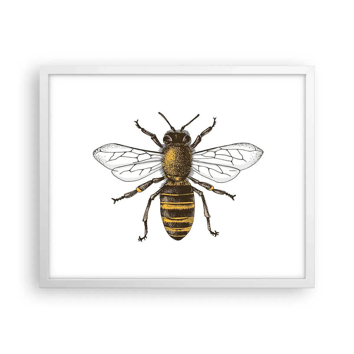 Poster in een witte lijst - Mooi en goed - 50x40 cm