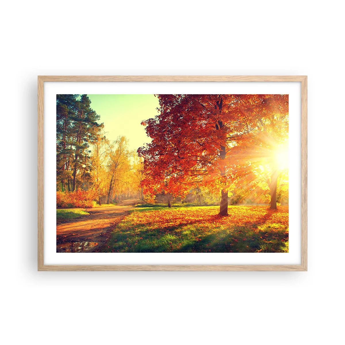 Een poster in een licht eiken lijst - Rood is mooi - 70x50 cm
