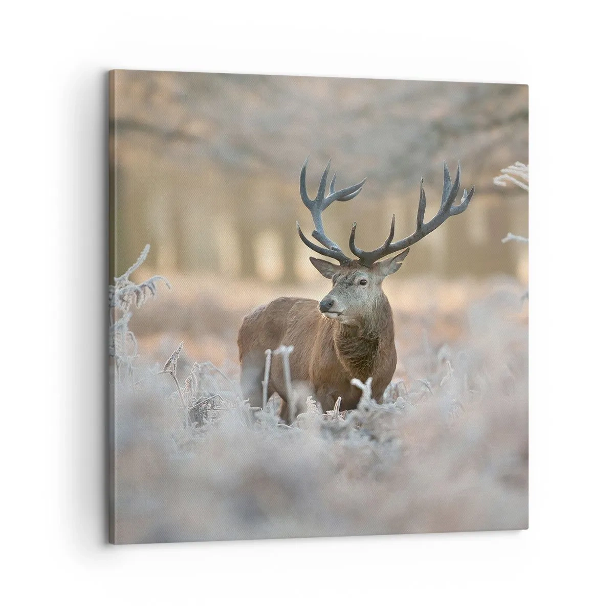 Schilderen op canvas - Een frisse ochtend - 60x60 cm