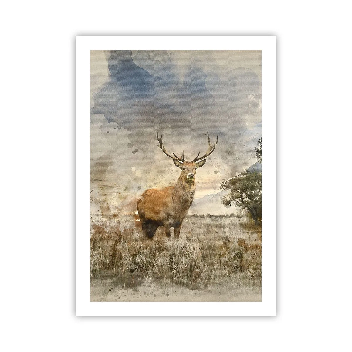 Poster - Waardigheid - kracht - waardigheid - 50x70 cm