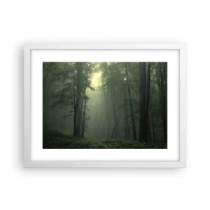 Poster in een witte lijst - Voordat hij wakker wordt - 40x30 cm