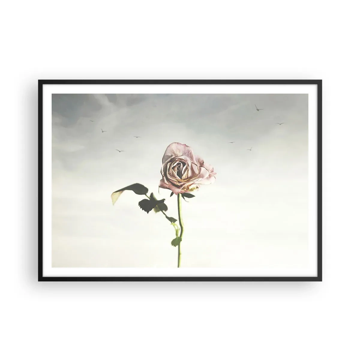 Poster in een zwarte lijst - Begroeting van de lente - 100x70 cm
