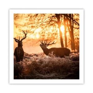 Poster - De droom van een jager - 60x60 cm