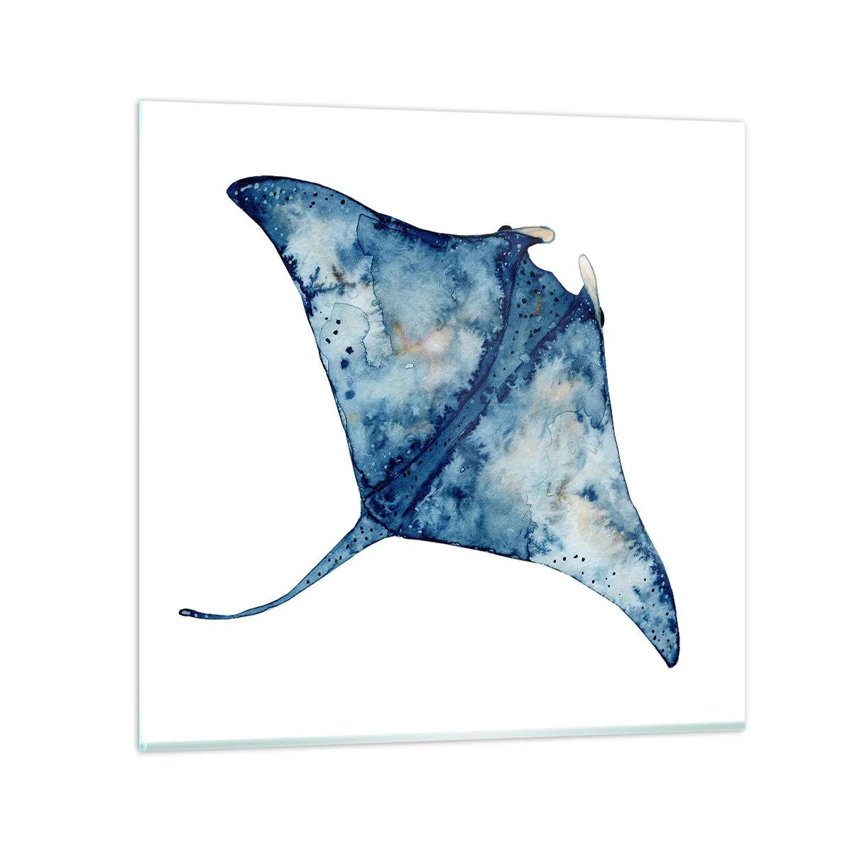 Schilderen op glas - Leven in blauw - 40x40 cm