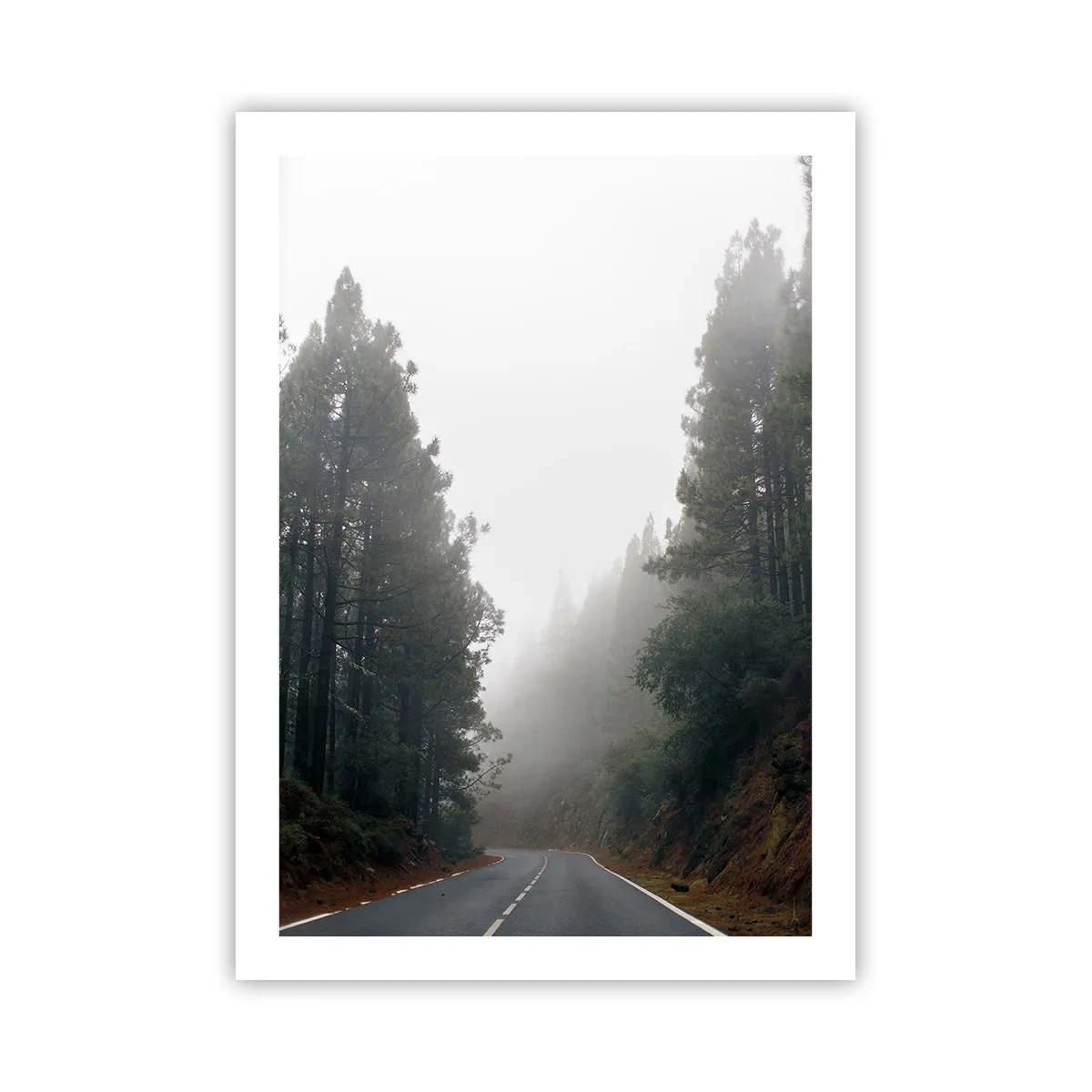 Poster - Een verhaal over een magisch bos - 50x70 cm