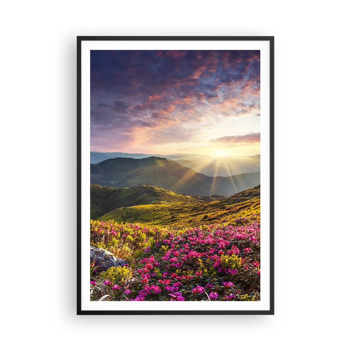 Poster in een zwarte lijst - Frisheid in de ochtend in de bergen - 70x100 cm