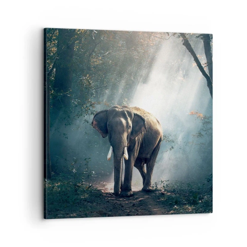 Schilderen op canvas - Een ontspannen wandeling - 60x60 cm