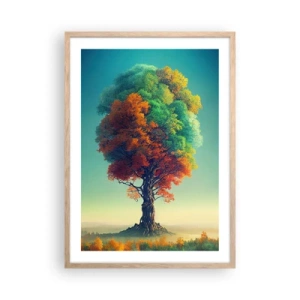 Een poster in een licht eiken lijst - Eik – de vader van de natuur - 50x70 cm