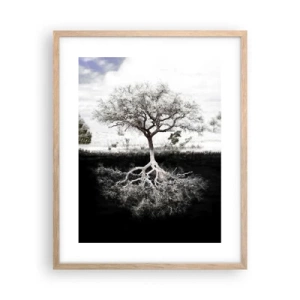 Een poster in een licht eiken lijst - De natuur van de wereld ontdekken - 40x50 cm